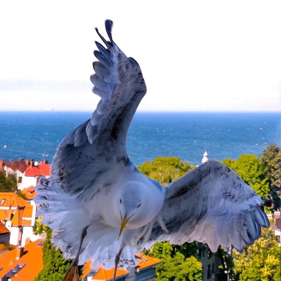 Pokoje Przy Plazy Z Widokiem Na Morze Sopot Luaran gambar