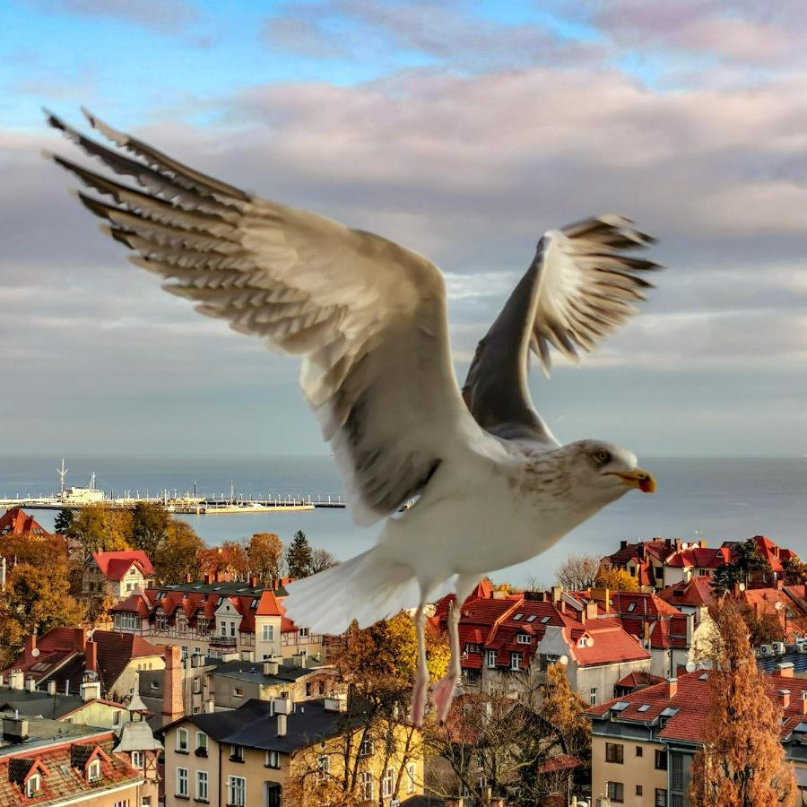 Pokoje Przy Plazy Z Widokiem Na Morze Sopot Luaran gambar