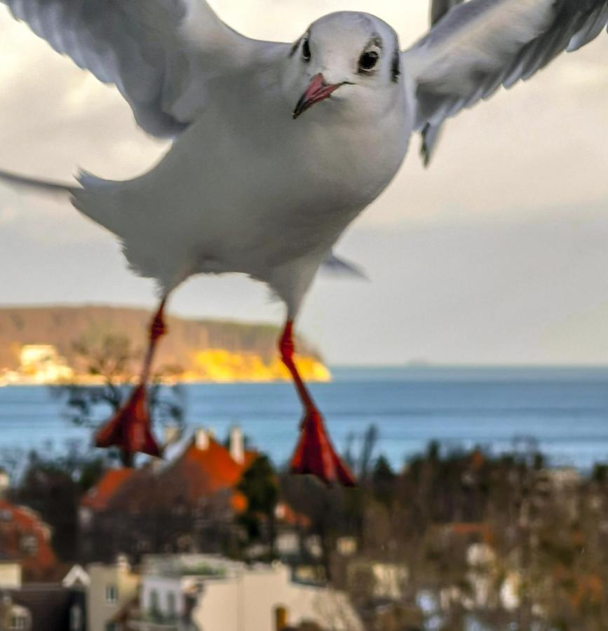 Pokoje Przy Plazy Z Widokiem Na Morze Sopot Luaran gambar