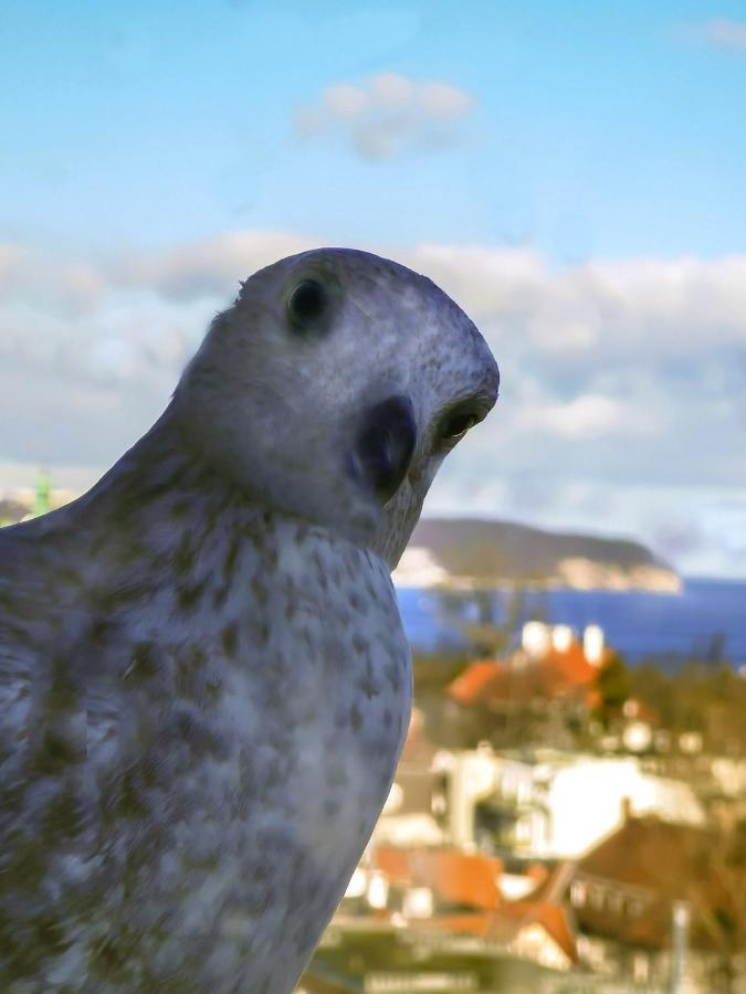 Pokoje Przy Plazy Z Widokiem Na Morze Sopot Luaran gambar