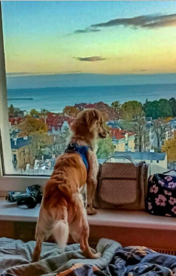 Pokoje Przy Plazy Z Widokiem Na Morze Sopot Luaran gambar