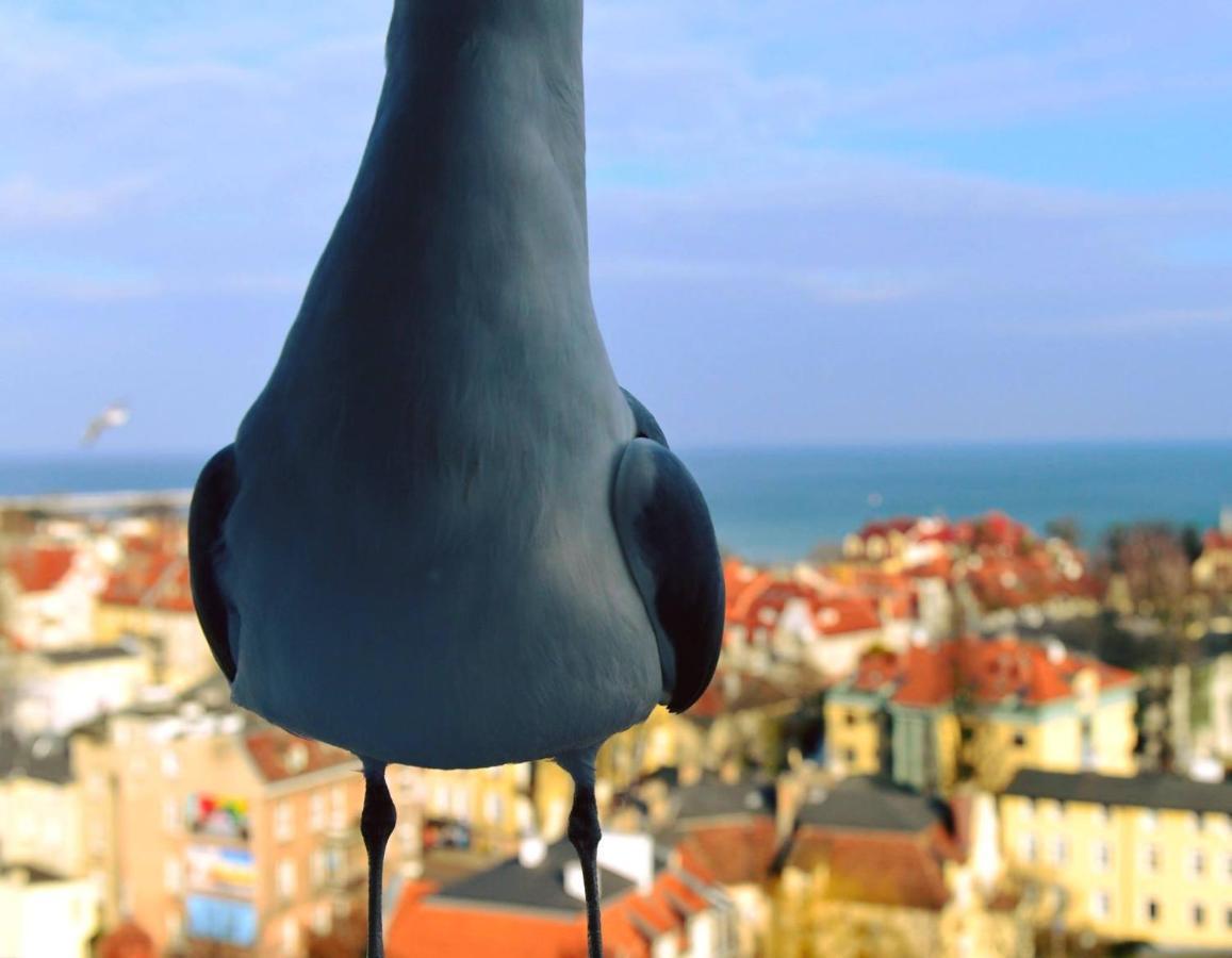 Pokoje Przy Plazy Z Widokiem Na Morze Sopot Luaran gambar