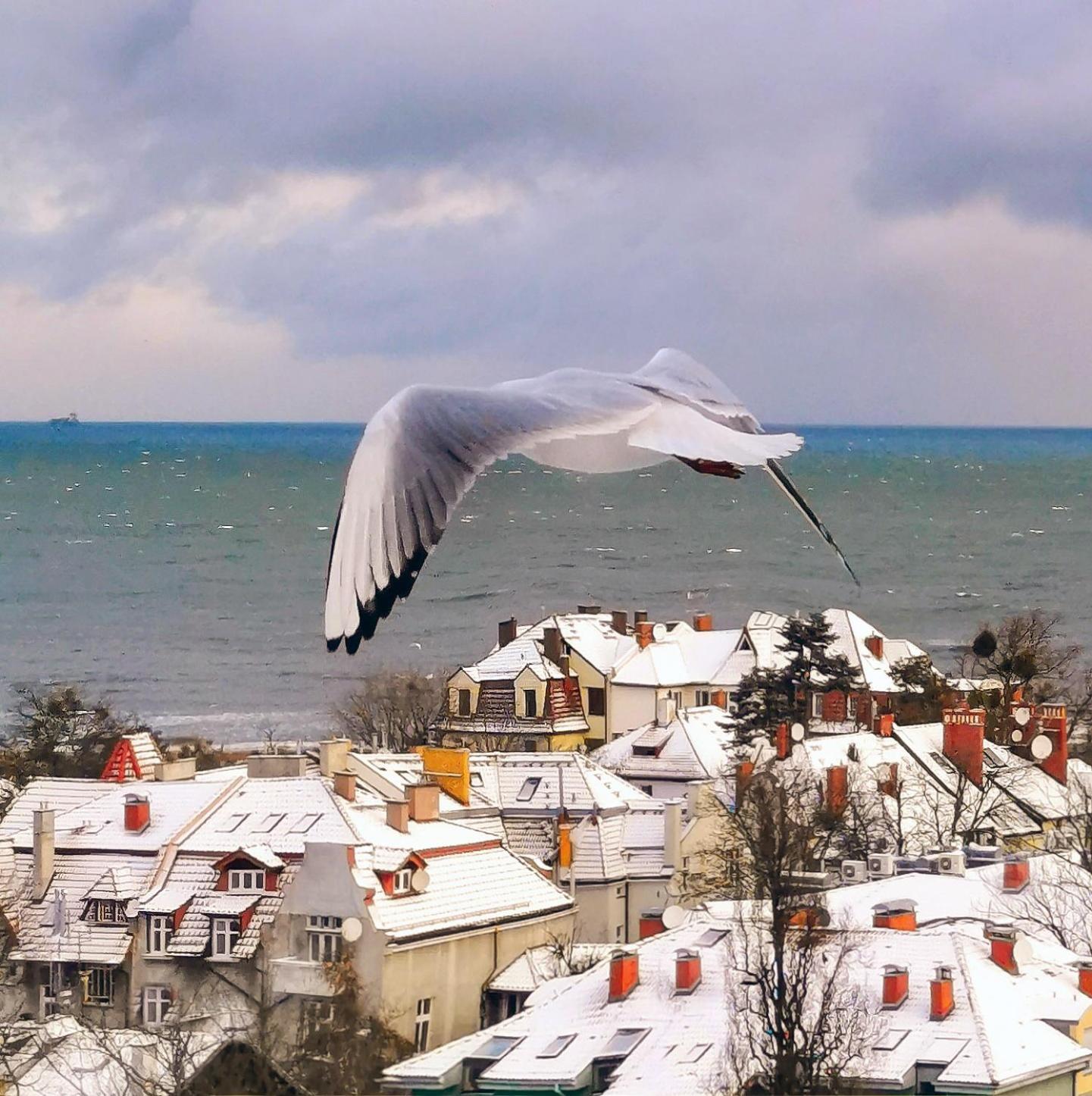 Pokoje Przy Plazy Z Widokiem Na Morze Sopot Luaran gambar