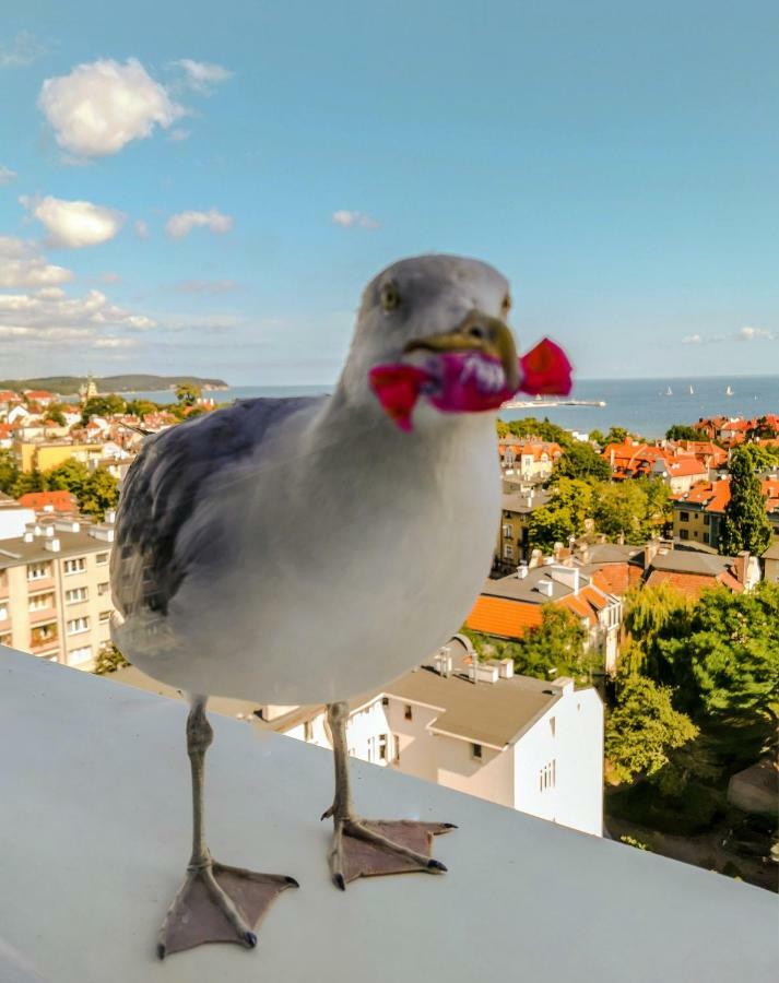 Pokoje Przy Plazy Z Widokiem Na Morze Sopot Luaran gambar